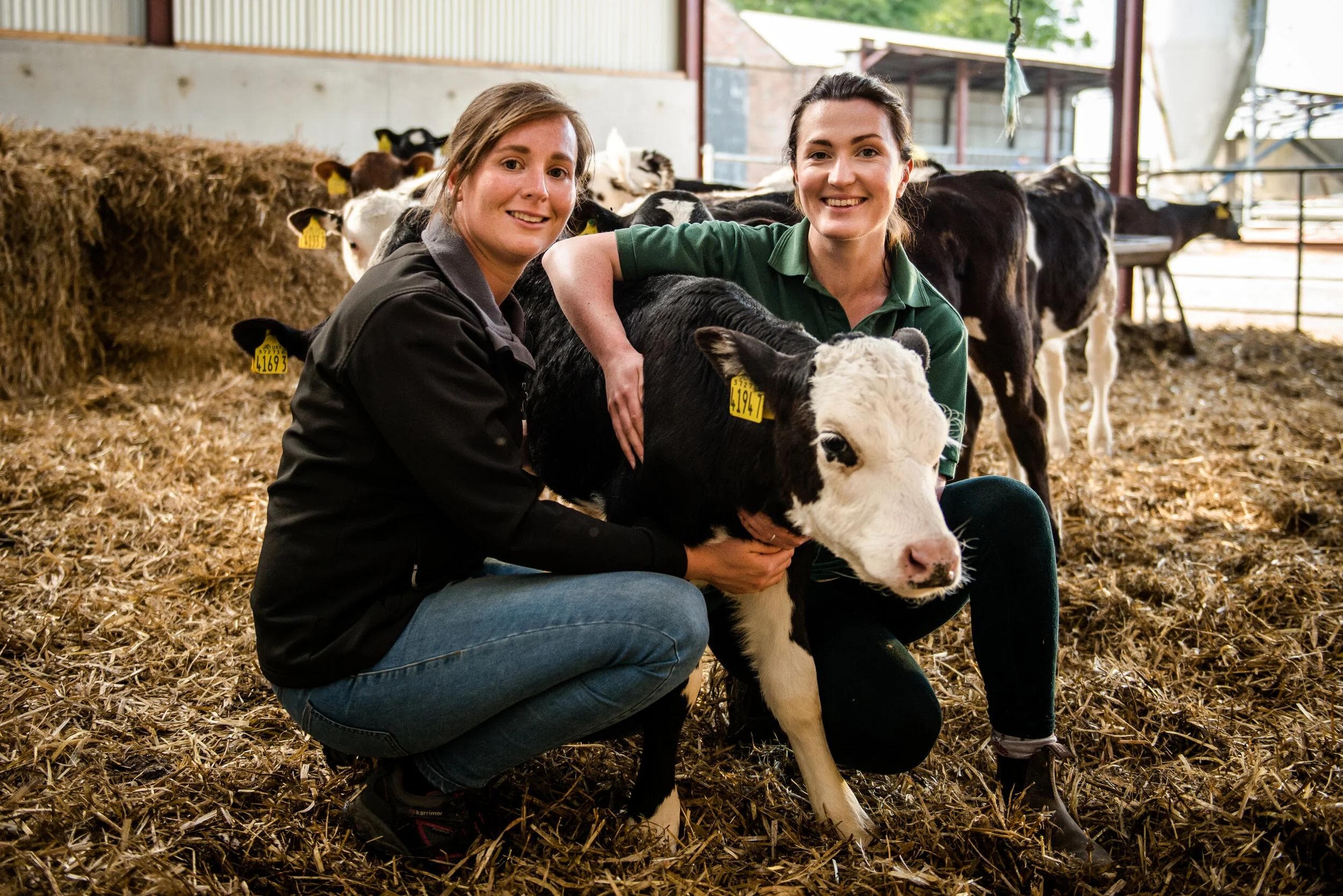 Mountain Vets — Factual Entertainment for BBC One
